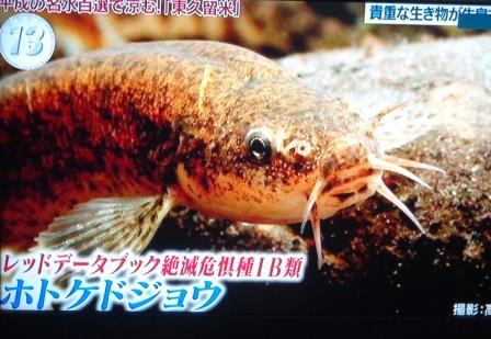 f:id:recoca1940:20190820104332j:plain f:id:recoca1940:20190820104332j:plain