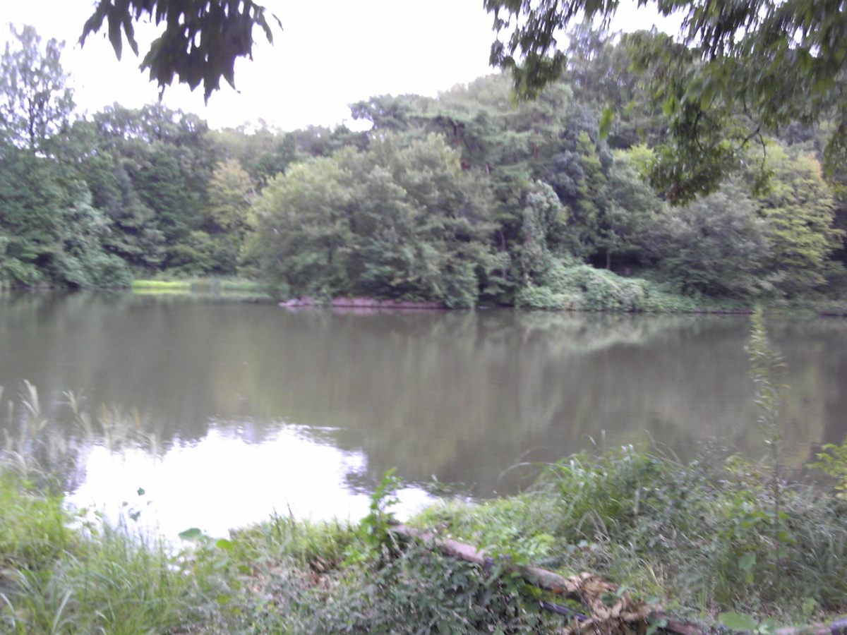 f:id:recoca1940:20190913090409j:plain f:id:recoca1940:20190913090409j:plain