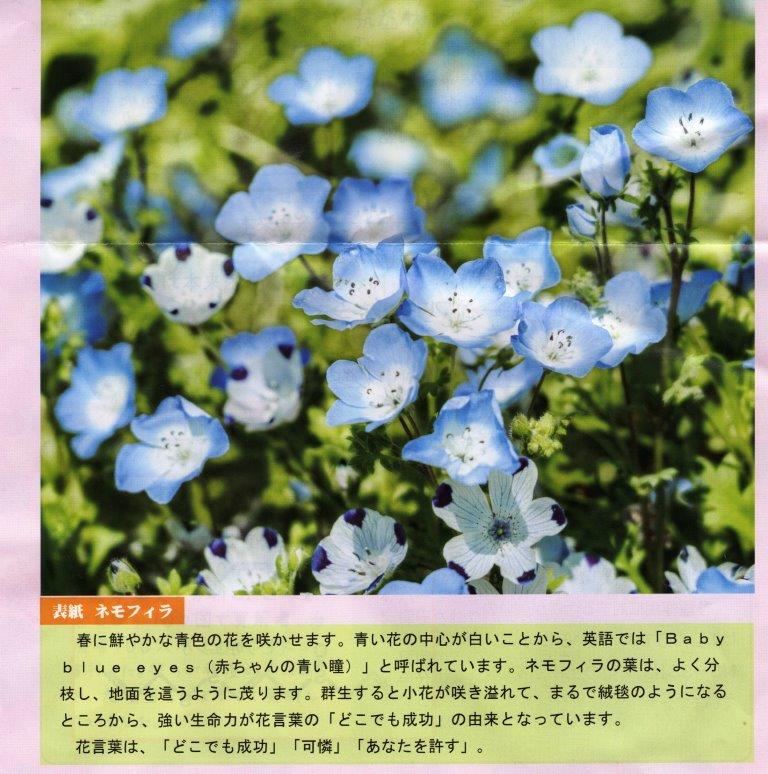 f:id:recoca1940:20200423221019j:plain