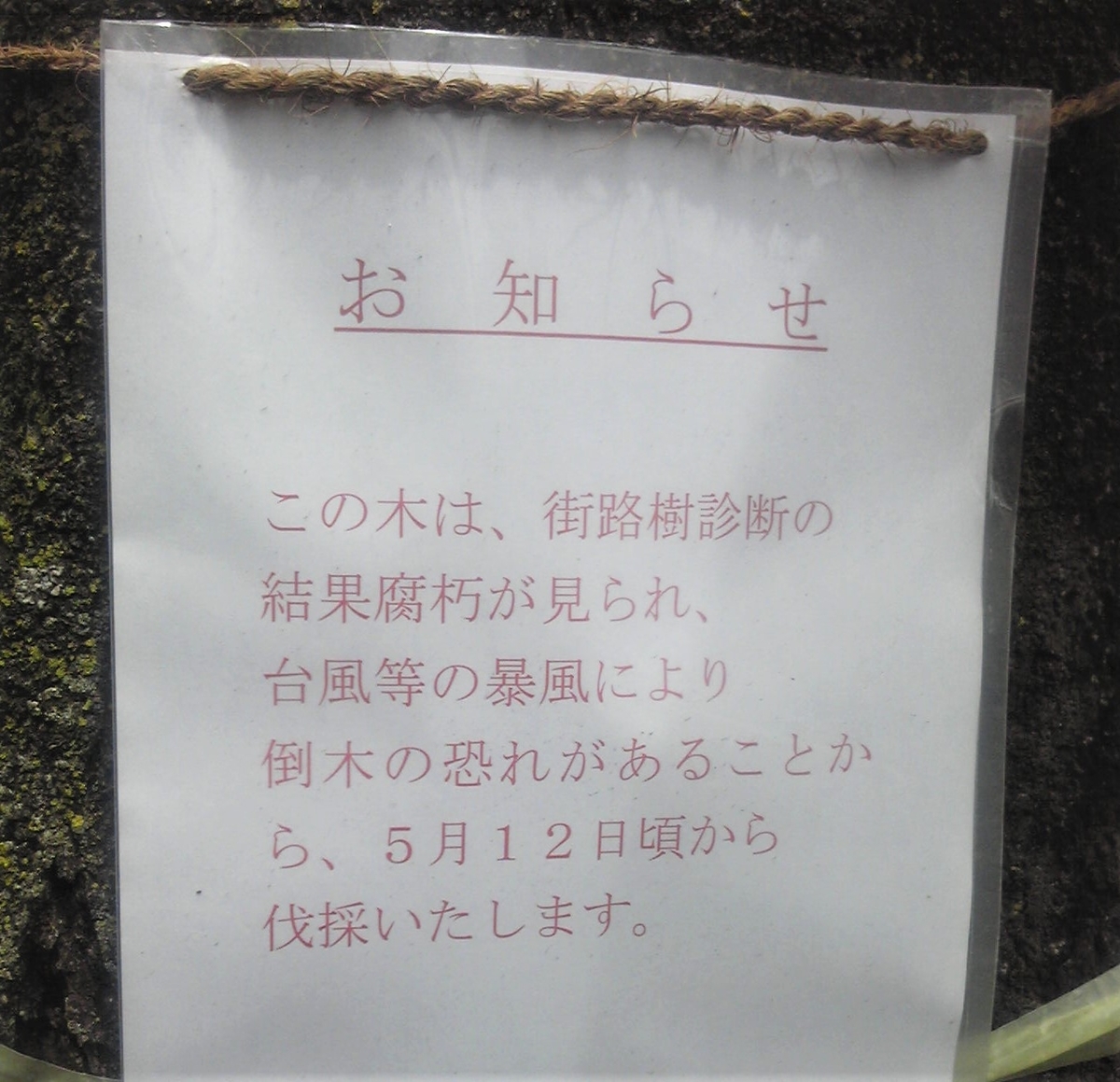 f:id:recoca1940:20200505131836j:plain