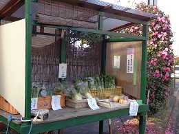 f:id:recoca1940:20201127105028j:plain