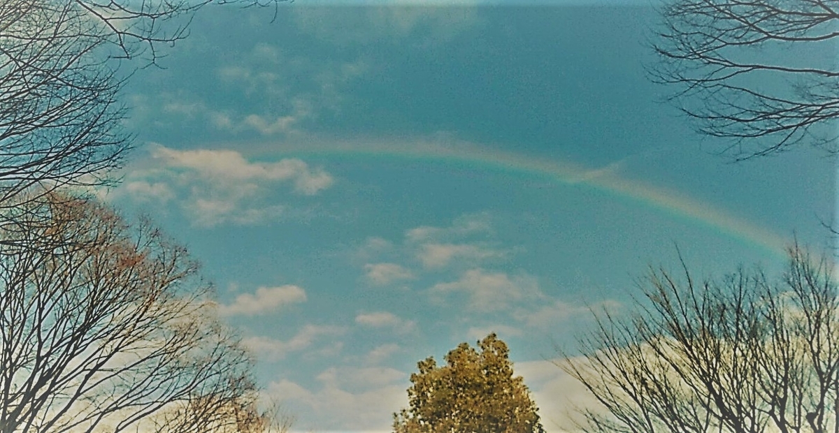 f:id:recoca1940:20210216110828j:plain