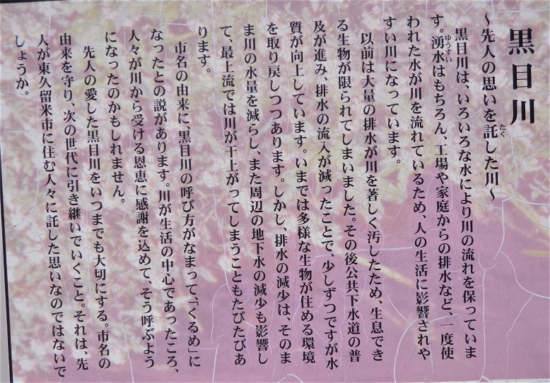 f:id:recoca1940:20210317122306j:plain