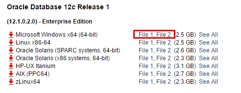 Oracle12c64bit