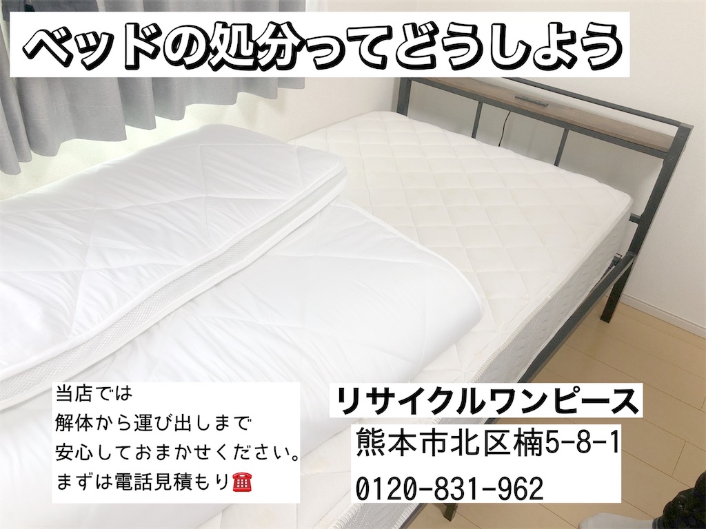 f:id:recycleonepeacekumamoto:20241027110056j:image