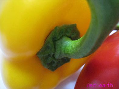 f:id:red-earth:20100518144132j:image