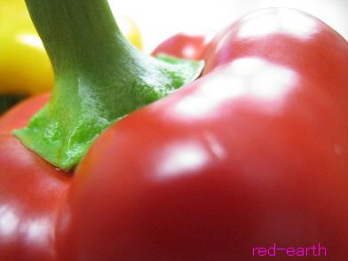 f:id:red-earth:20100518144321j:image