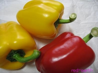 f:id:red-earth:20100521091814j:image