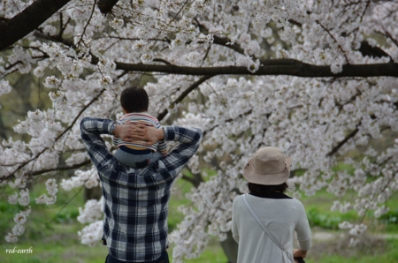 f:id:red-earth:20150409001628j:image