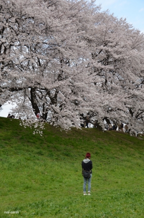 f:id:red-earth:20150409001634j:image