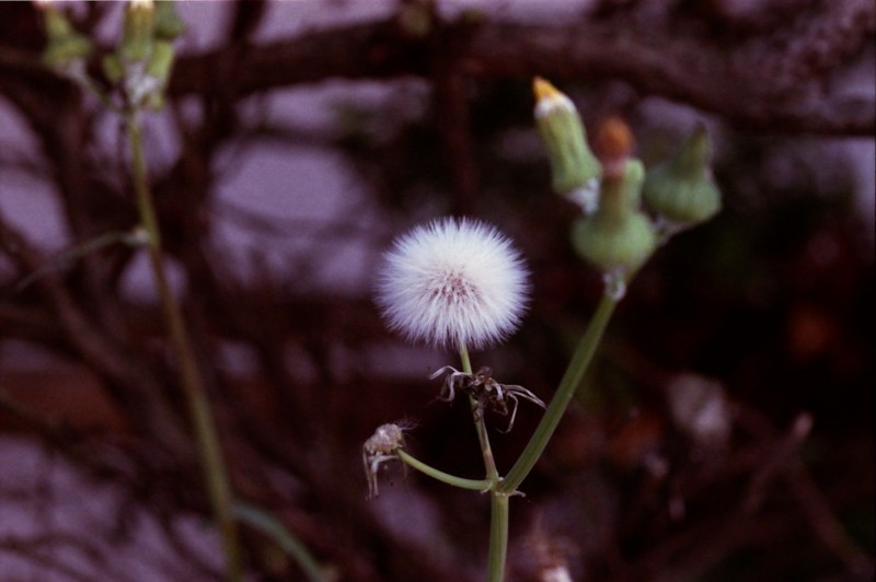 f:id:red_sakiko:20101128022211j:image f:id:red_sakiko:20101128022211j:image