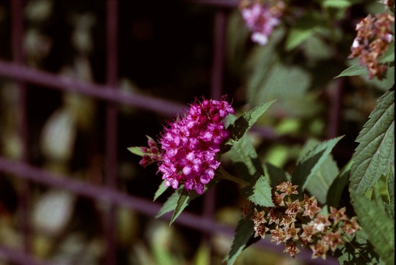 f:id:red_sakiko:20101128022215j:image f:id:red_sakiko:20101128022215j:image