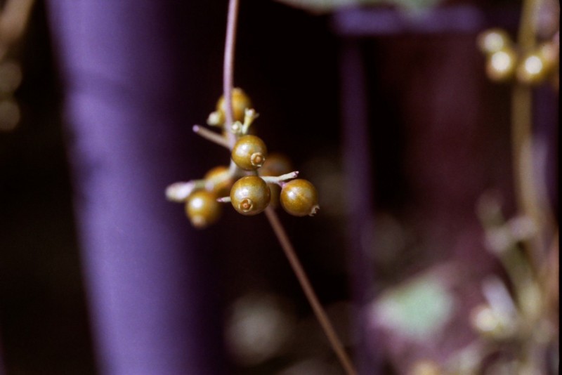 f:id:red_sakiko:20101128022218j:image f:id:red_sakiko:20101128022218j:image