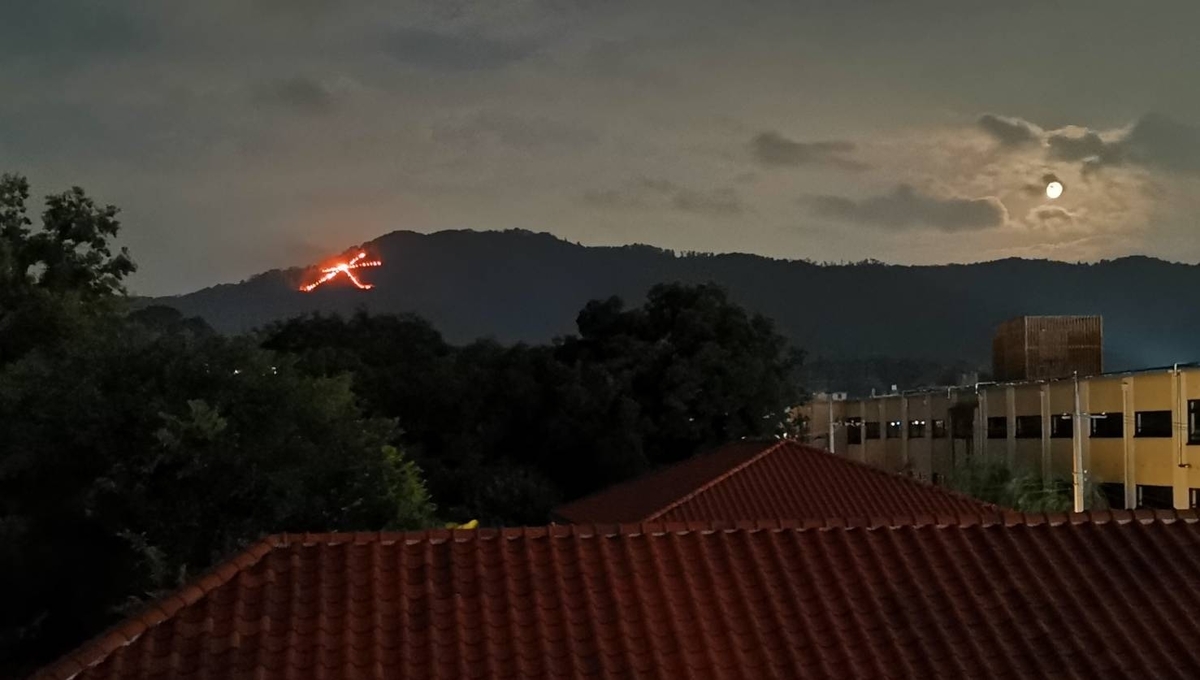 f:id:redbuller:20200413050533j:plain