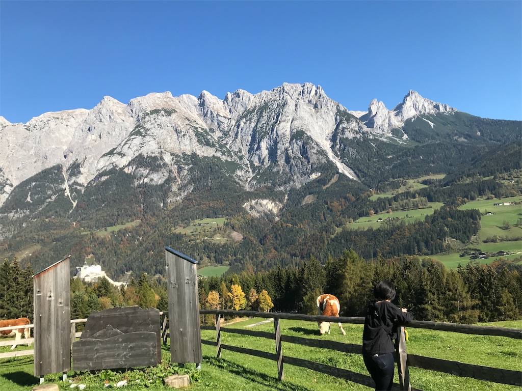 f:id:redcase:20181028102947j:image f:id:redcase:20181028102947j:image