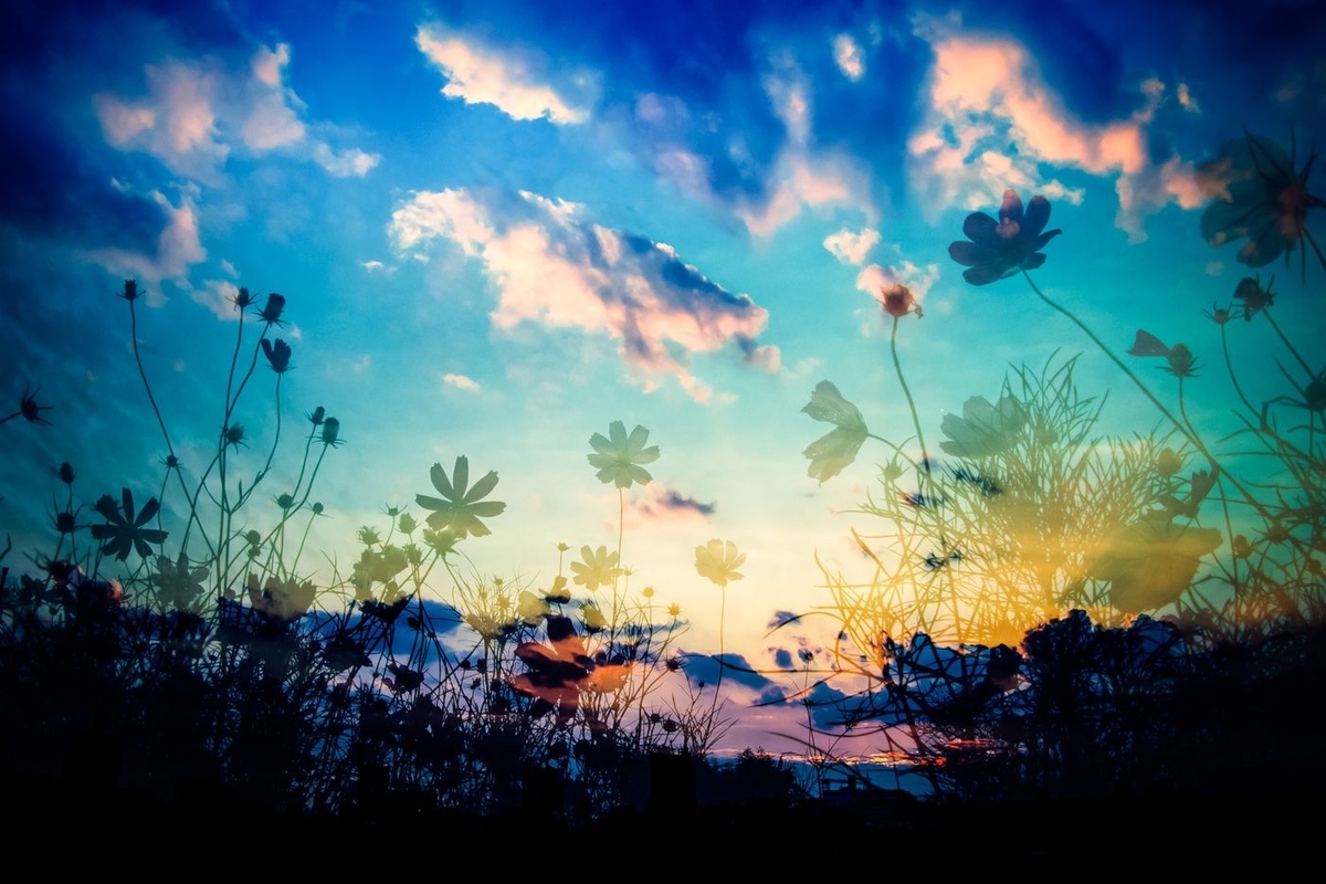 f:id:redcherrys:20210805111926j:plain