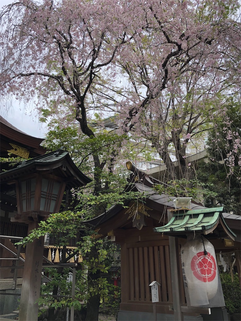 f:id:redcometxxx:20190417125303j:image f:id:redcometxxx:20190417125303j:image