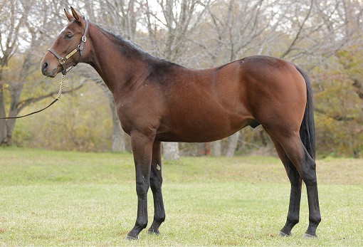 f:id:redfray:20211223082646j:plain