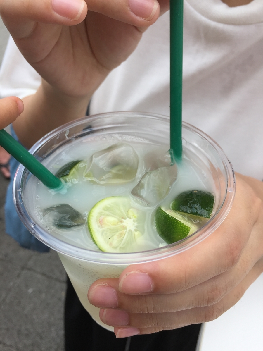 f:id:redhiro:20190825223401j:plain f:id:redhiro:20190825223401j:plain