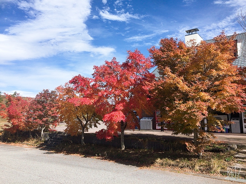 f:id:redhiro:20191108214308j:plain f:id:redhiro:20191108214308j:plain