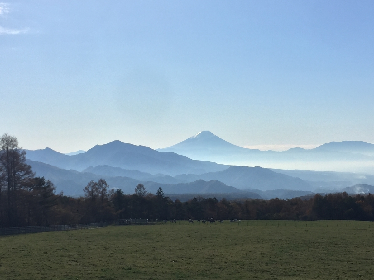f:id:redhiro:20191108231432j:plain f:id:redhiro:20191108231432j:plain
