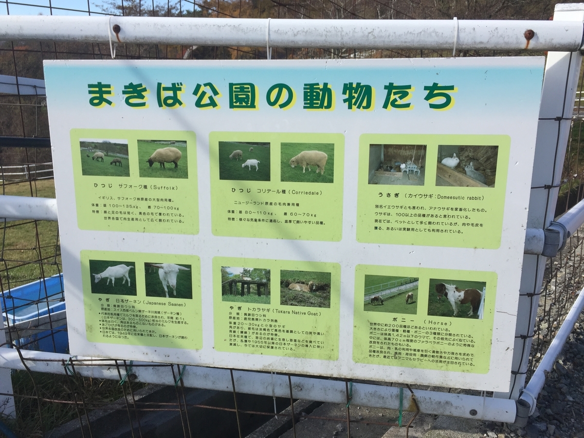 f:id:redhiro:20191108231706j:plain f:id:redhiro:20191108231706j:plain