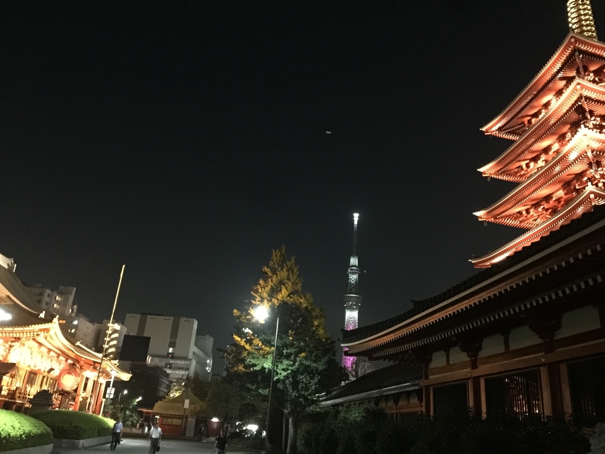 f:id:redhiro:20191111210427j:plain f:id:redhiro:20191111210427j:plain