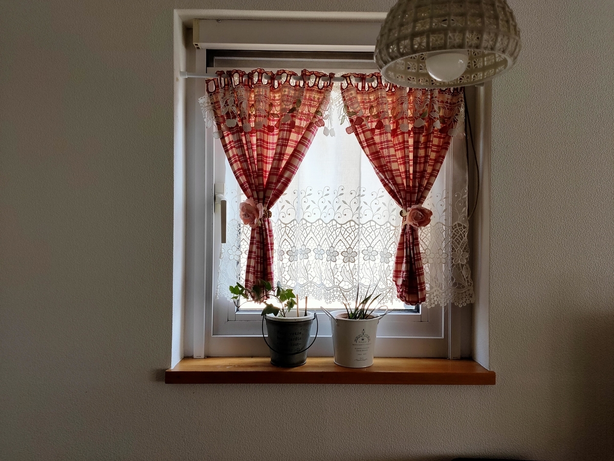f:id:redkun_r:20200509192151j:plain
