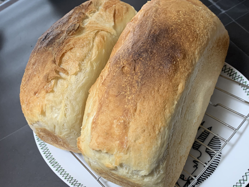 f:id:redloincloth:20220121033850j:plain