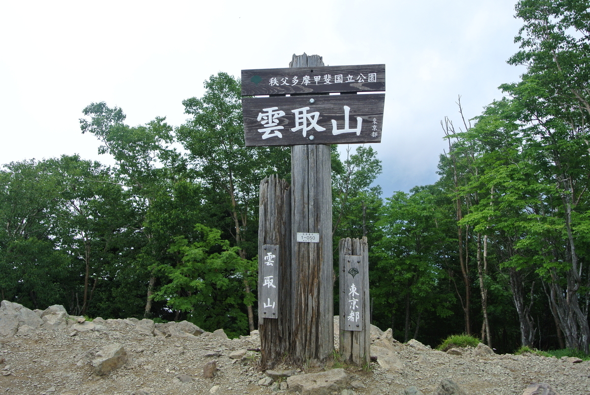 f:id:redo5151:20190921231437j:plain f:id:redo5151:20190921231437j:plain