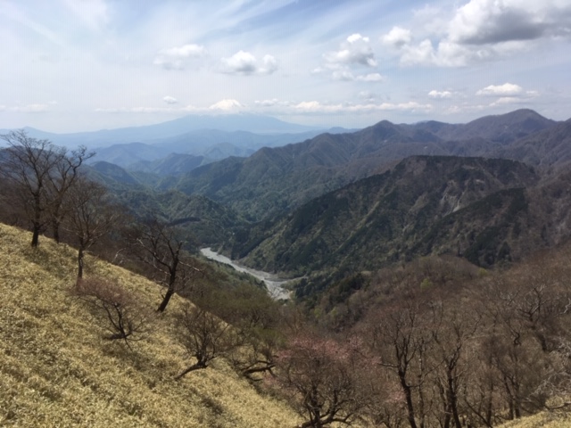 f:id:redo5151:20190922085203j:plain