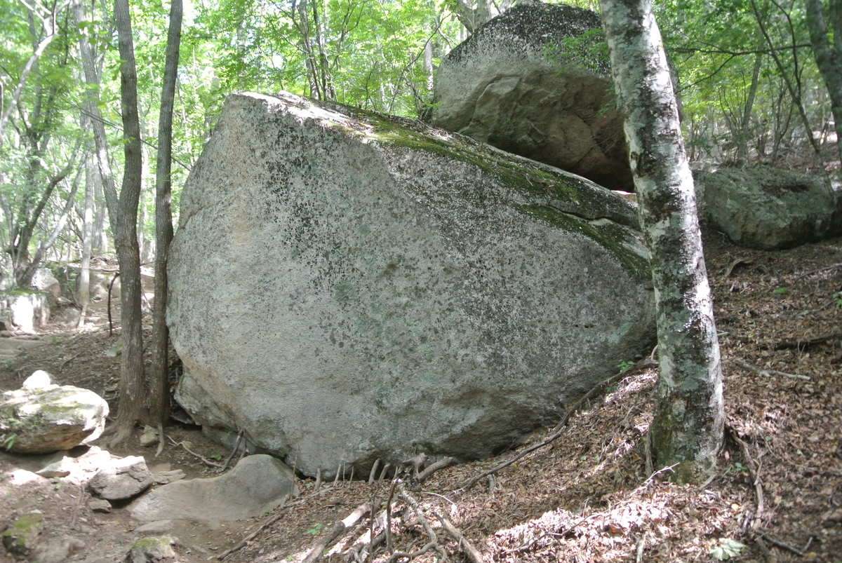 f:id:redo5151:20190929212357j:plain f:id:redo5151:20190929212357j:plain