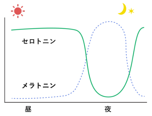 f:id:redo5151:20191130180440p:plain f:id:redo5151:20191130180440p:plain