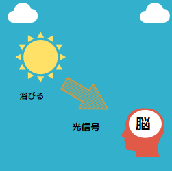 f:id:redo5151:20191212221751p:plain f:id:redo5151:20191212221751p:plain