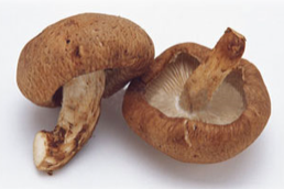 f:id:redo5151:20191216113335p:plain