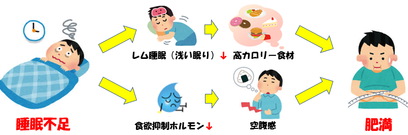 睡眠不足 肥満