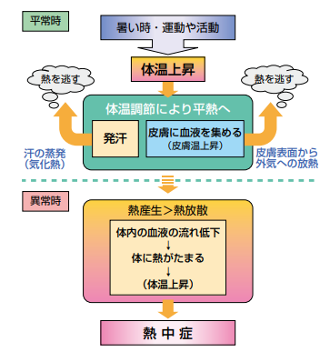 熱中症 メカニズム