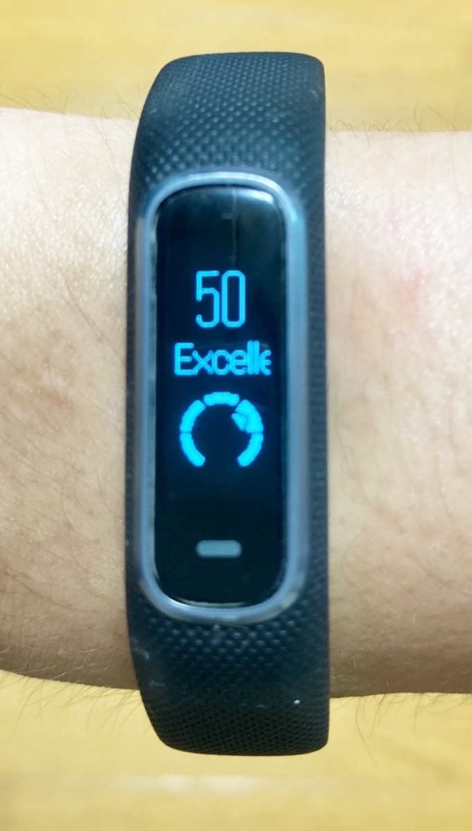 GARMIN - GARMIN VIVOSMART 4　ガーミン　ボディバッテリー計測可能！ 発達障害の体調管理に！ GARMIN（ガーミン）vivosmart 4