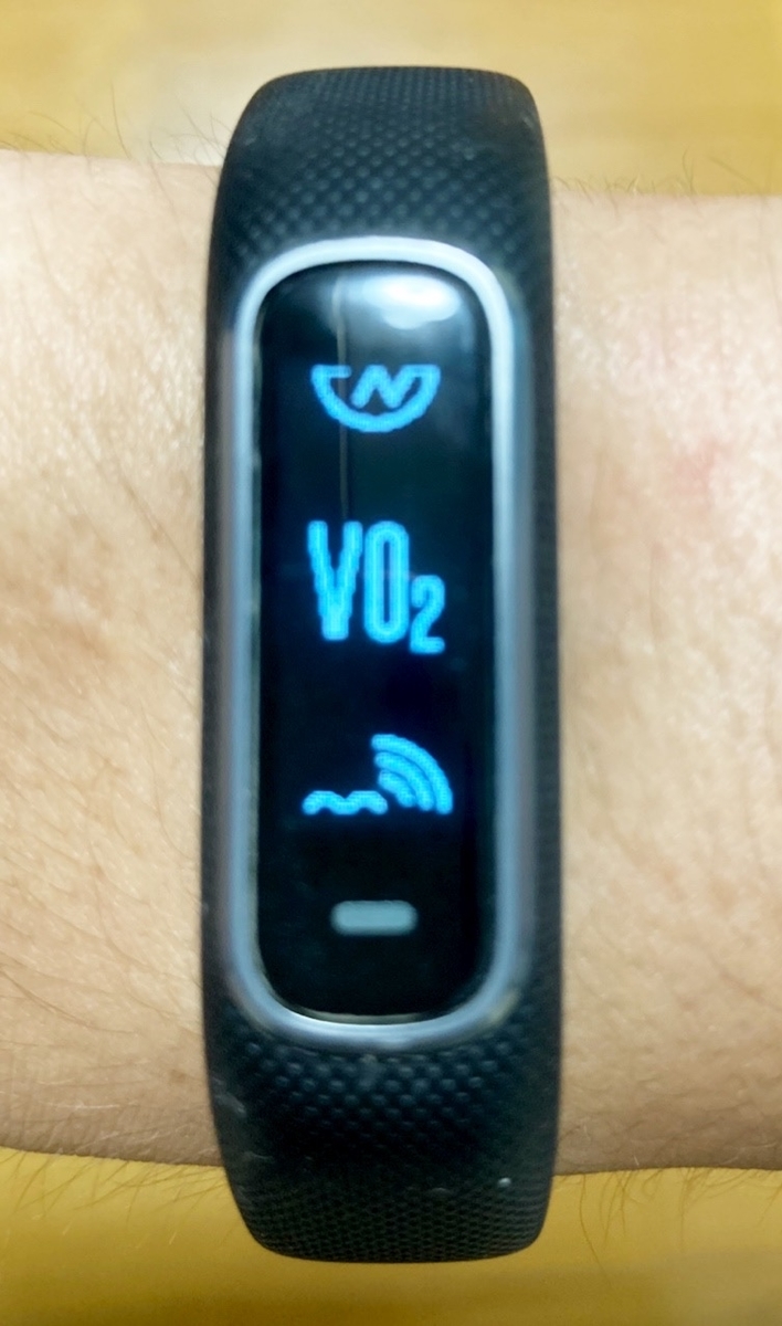 VO2MAX ガーミン