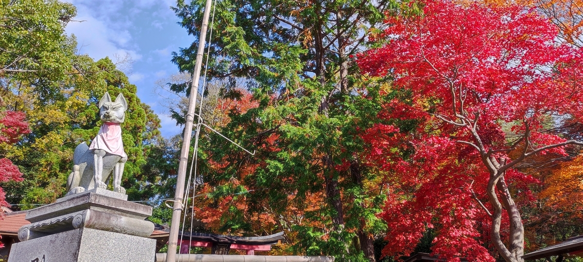 f:id:redrock11:20211204021142j:plain
