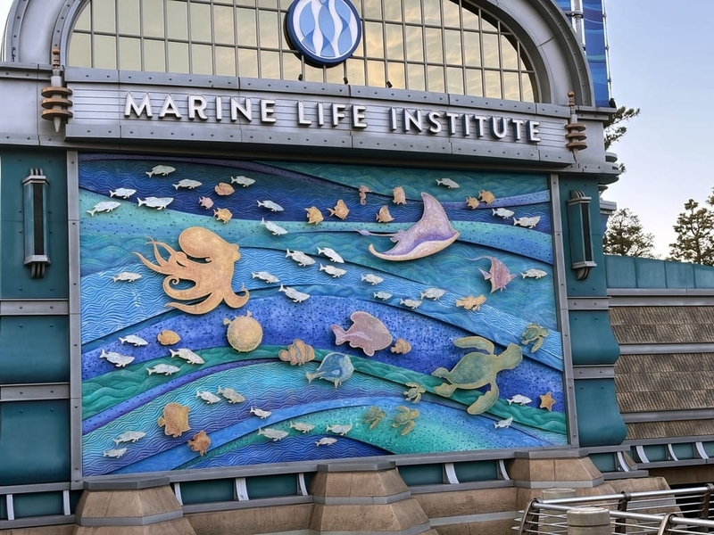 みか様♡確認page☆ジェラトーニシーライダーラッコ C-LXMFDUQAAS18d.jpg?format=jpg