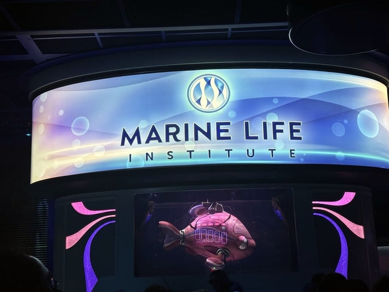 みか様♡確認page☆ジェラトーニシーライダーラッコ ラッコ発見 ニモ＆フレンズ・シーライダー - たのしく くらそう