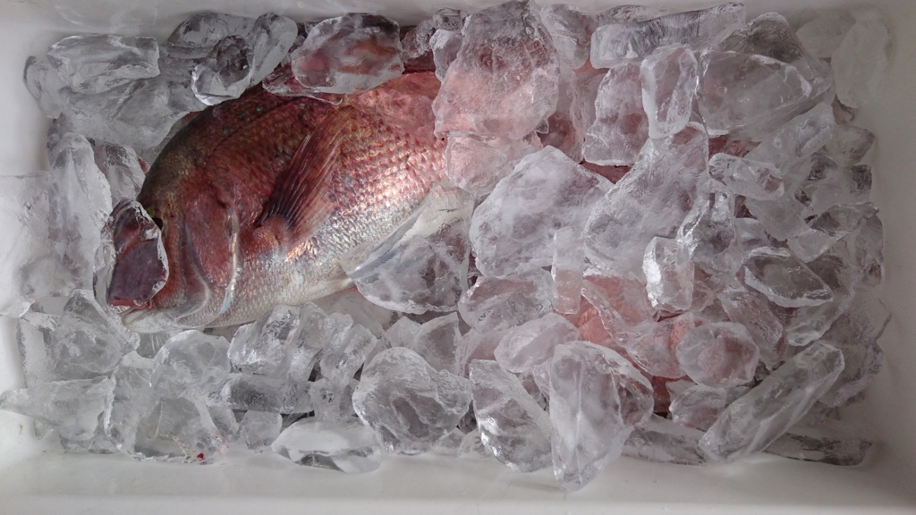 f:id:redseabream2016:20160904125903j:plain
