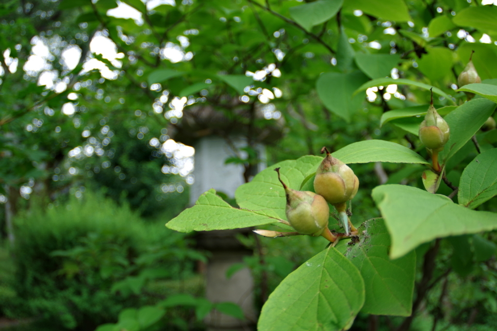 f:id:redskybluemoon:20170729211740j:plain