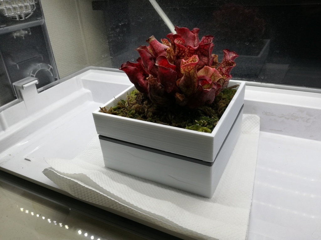 f:id:redskybluemoon:20181129220835j:plain