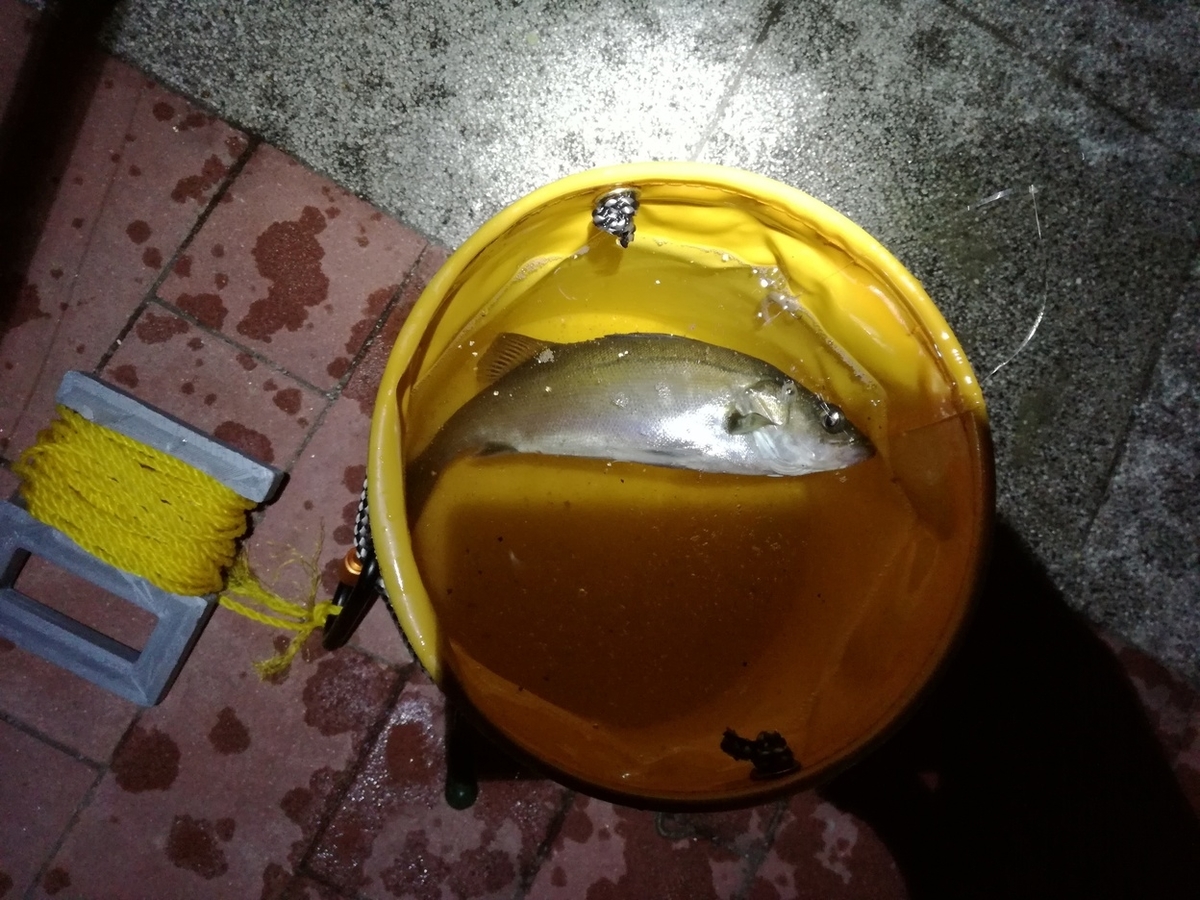 f:id:redskybluemoon:20190513201336j:plain