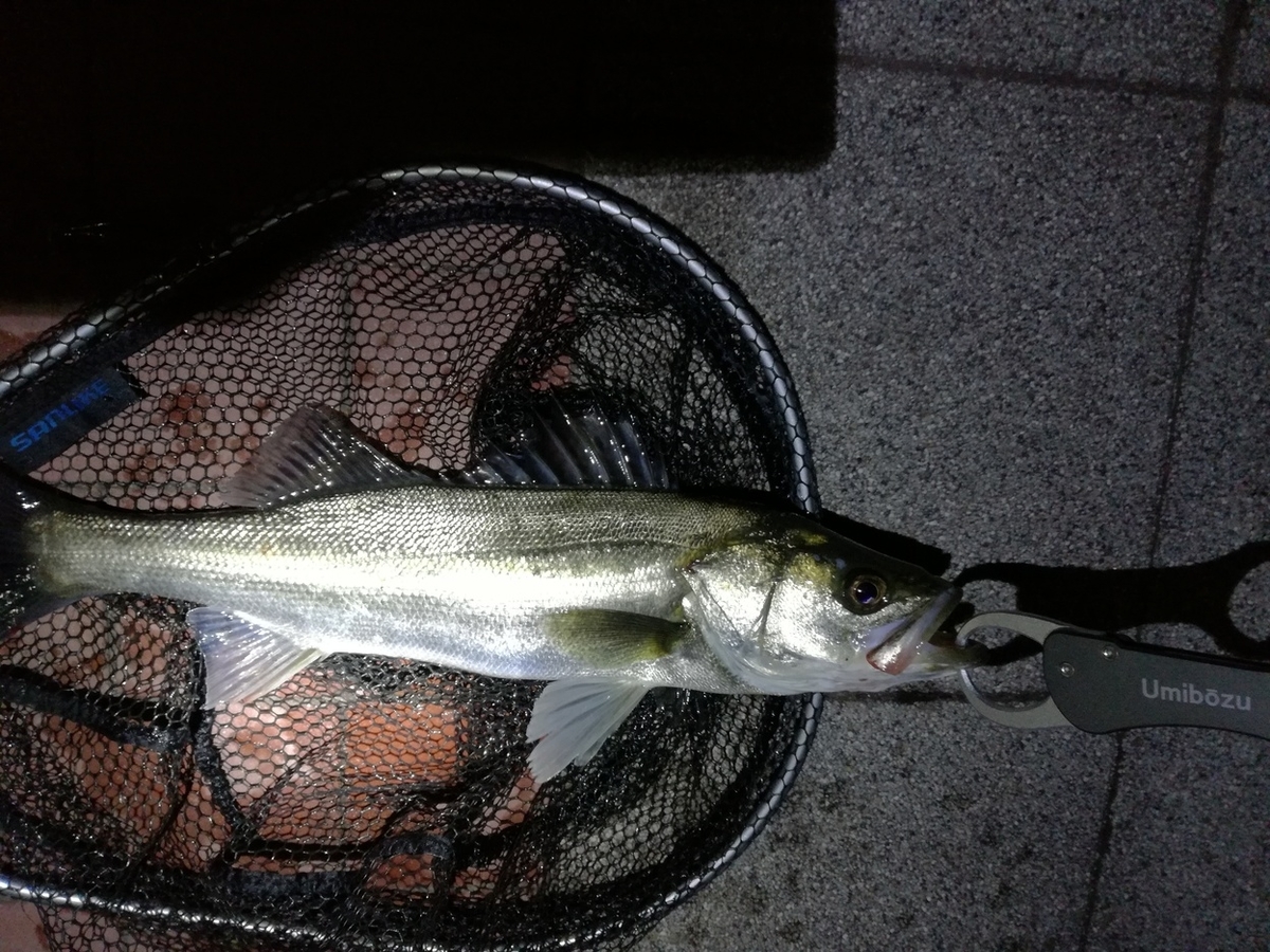 f:id:redskybluemoon:20190513202248j:plain