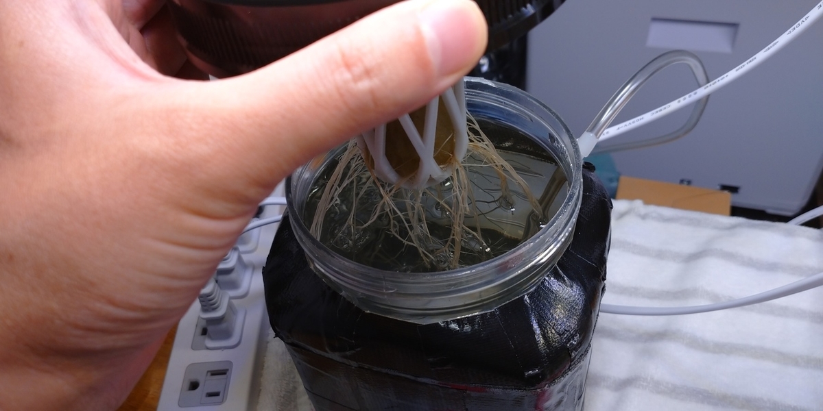 f:id:redskybluemoon:20200517135731j:plain f:id:redskybluemoon:20200517135731j:plain