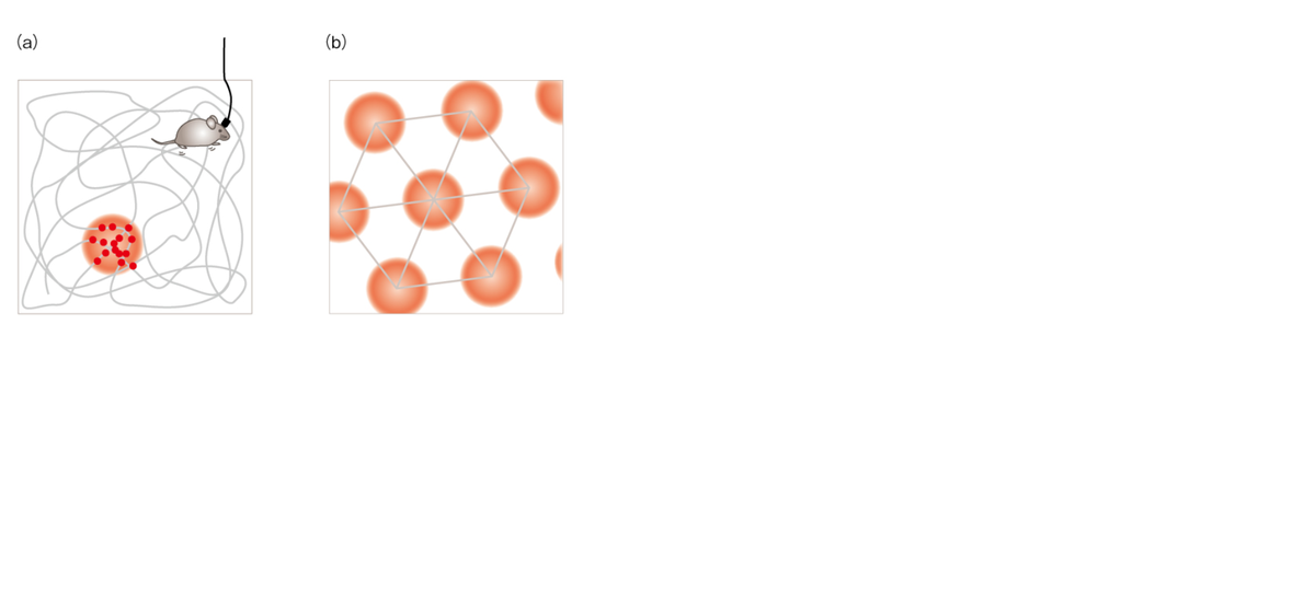 f:id:redtigerkun:20210930151712p:plain