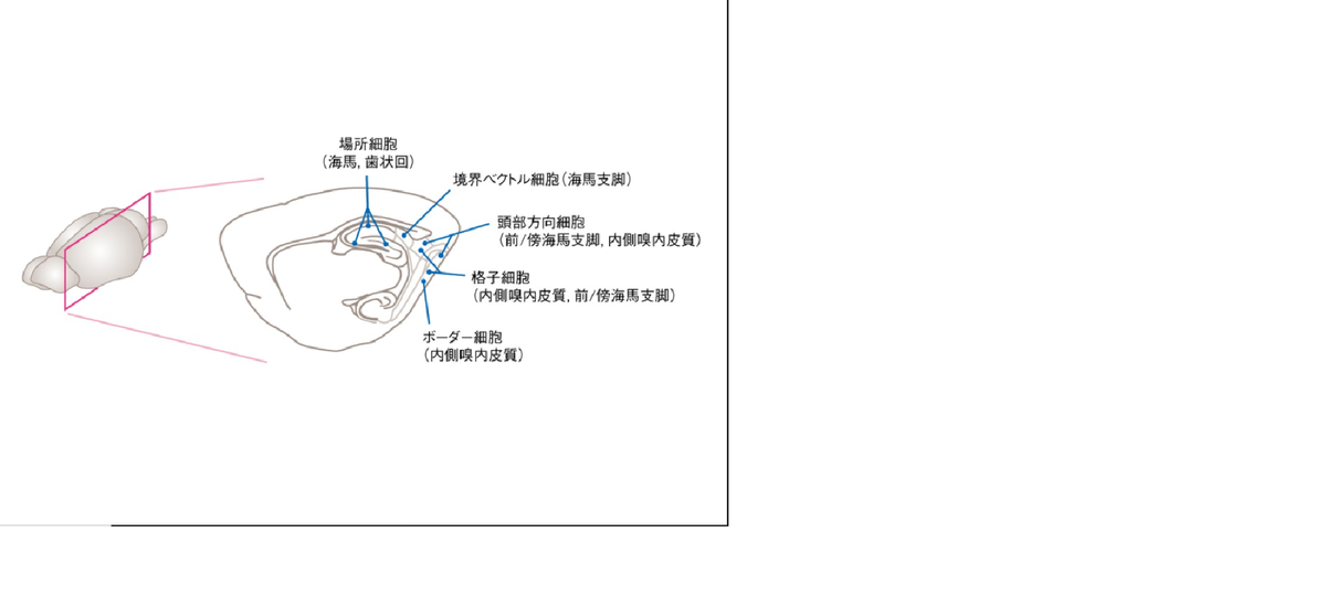 f:id:redtigerkun:20210930152903p:plain